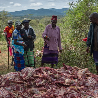 Kisima - Samburu lmuget - Mzee with meat collection
